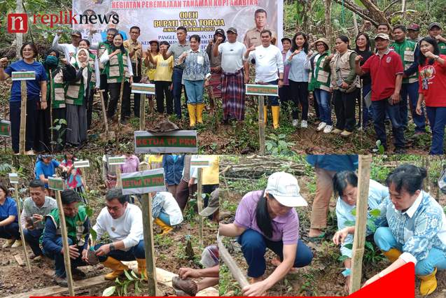 Bupati Zadrak Tanam Bibit Perdana, Tana Toraja Mulai Peremajaan Kopi Besar-Besaran